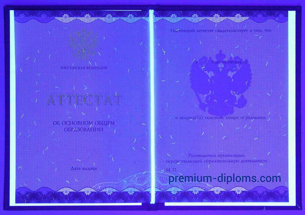 Аттестат 9 классов 2014-2025 год фото Аттестат 9 классов 2014-2025 год фото