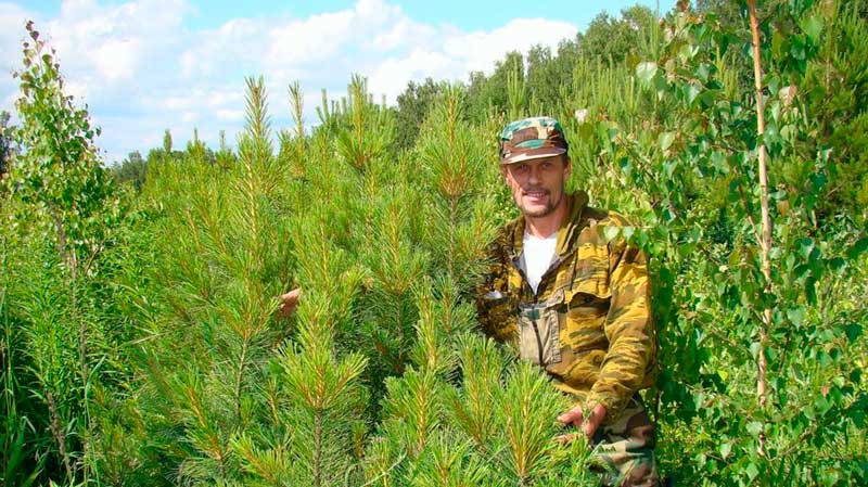 купить диплом егеря